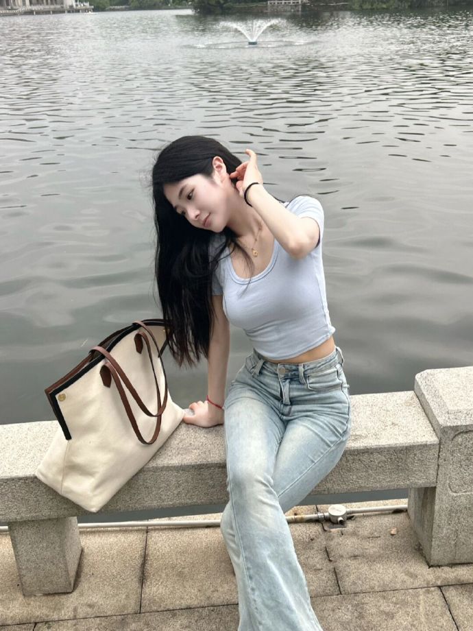 甄嬛传 封面