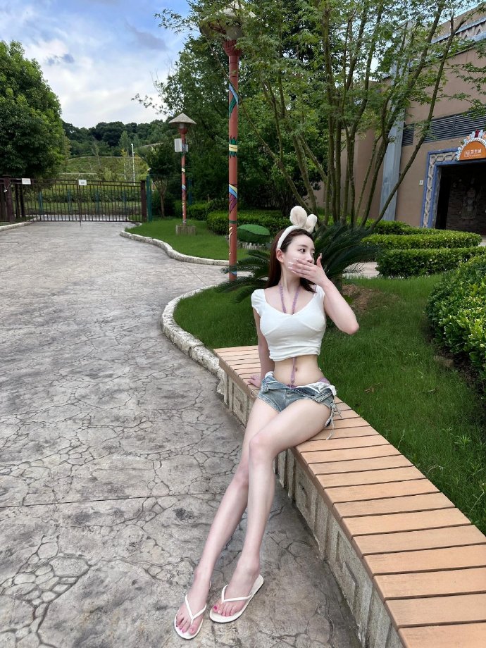 龙猫